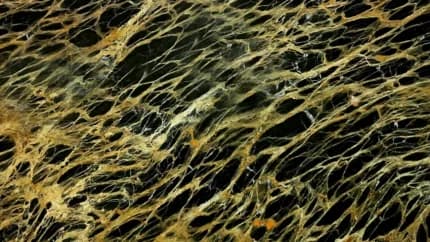 Portoro Marble, produkt MA-51