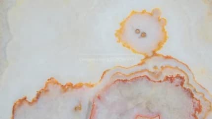 Marigold Onyx, produkt ON-15