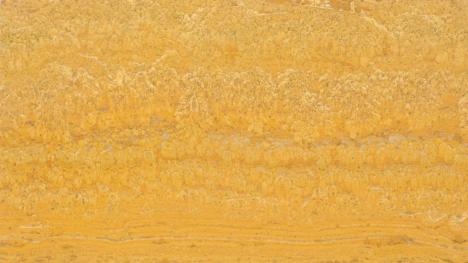 Gold Travertine, produkt TR-11